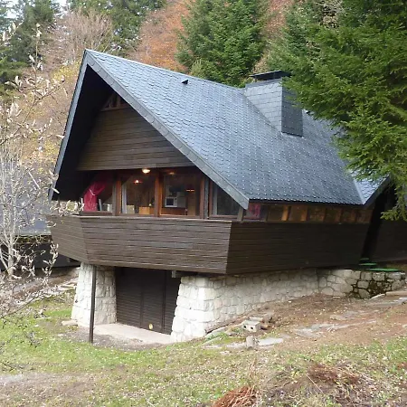 Chalé Chalet Mont-dore, 3 Pieces, 5 Personnes - Fr-1-608-78